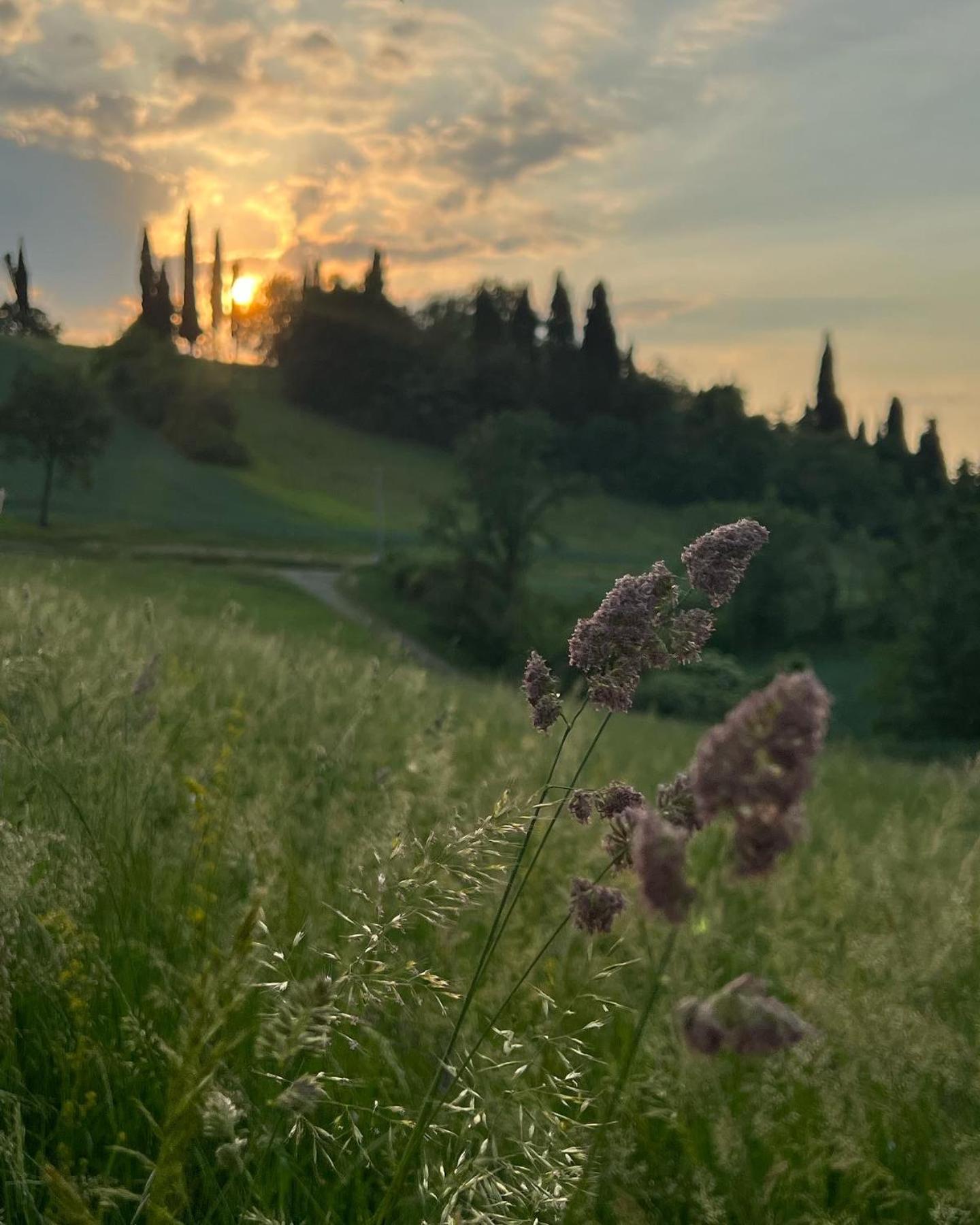 Villa Nuvola Suites Fiorano Modenese Esterno foto